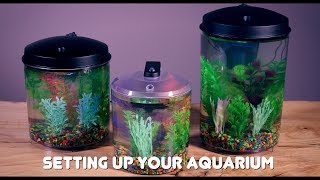 How to Set Up Your FRESHWATER AQUARIUM  15Gallon 2Gallon and 3Gallon [upl. by Zabrine]