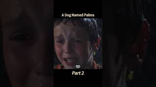 A Dog Named Palma part2 movie film touch [upl. by Zinck]