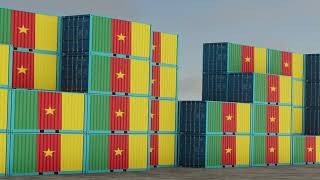 Cameron export import container stock footage [upl. by Ahtanaram]