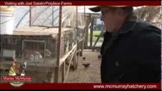 Murray McMurray Hatchery visits Joel Salatin and Polyface Farms [upl. by Darcee]