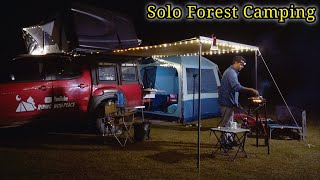 Solo Camping in Forest with Cozy Camping Setup  Forest Camping in India [upl. by Renaldo]