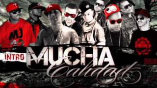 Mucha Calidad IntroPacho amp Cirilo Ft Ñengo Flow Nova amp Jory Wibal amp Alex Franco El Gorila [upl. by Margarida]