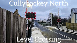 Cullybackey North Level Crossing Ballymena Thursday January 15012024 [upl. by Yedrahs927]