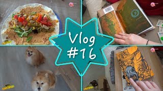 VLOG 16 🎥 CELUI QUI RECOIT QUELQUES PAQUETS  🎥JessLivraddict [upl. by Nimrak]