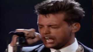 Luis Miguel  Alguien Como Tú HD  5 de 19  EL CONCIERTO [upl. by Kal]