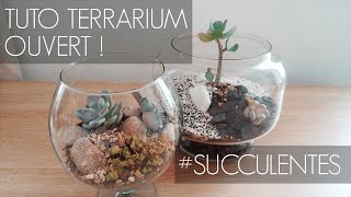 TUTO Terrarium ouvert avec des succulentes  entretien  DTerrariums 🌿 ft AuCactusVosgien 🌵 [upl. by Proudman]