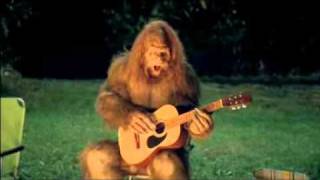 Jack Links Beef Jerky Sasquatch Is Back Commercial [upl. by Aicelef]