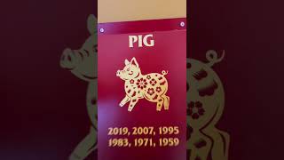 Chinese New Year 2024 Horoscope  Pig Zodiac lucky lunarnewyear zodiac yearofthedragon [upl. by Aitnyc]