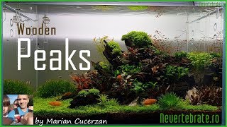 Wooden Peaks by Marian Cucerzan [upl. by Butcher]