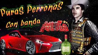 puras perronas con banda ✴️ Chalino Sánchez ✴️✴️el rey del corrido 💥💥 [upl. by Roosnam]