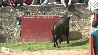 Desencajonamiento 2011 Soria [upl. by Ramyaj704]