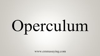 How To Pronounce Operculum [upl. by Eseekram]