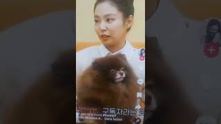 Jennie happy birthday kuma edit [upl. by Dabbs598]