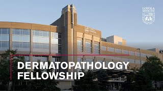 Dermatopathology Fellowship at Loyola University Medical Center [upl. by Sternick625]