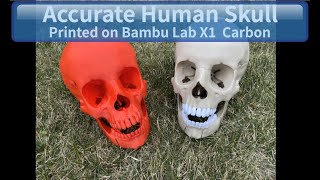 3D Print an Accurate Human Skull on Bambu Lab X1 Carbon [upl. by Avik]