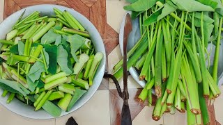 কচুশাক এইভাবে রান্না করলে আঙুল চেটেপুটে ভাত খাবে সবাই  কচুশাক  Bengali Kocho Shak Recipe [upl. by Ramburt]