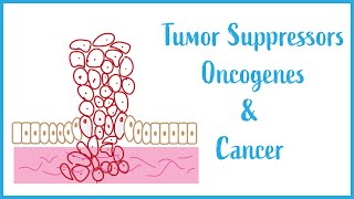 Tumor suppressors Oncogenes and Cancer Biology USMLE Essentials [upl. by Cardinal]