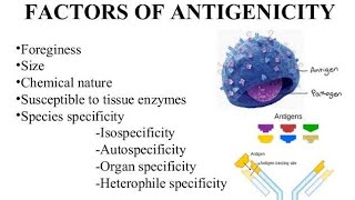 Antigenicity factors [upl. by Sirref]