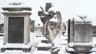 Cemetery In The Snow [upl. by Nyraf151]