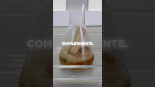 Vaporizando cosas con ácido mezcla piraña ciencia química [upl. by Nored]