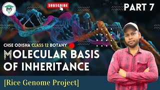 Molecular Basis of Inheritance class 12 in Odia  Chapter 5 Rice Genome Project  Part 7 [upl. by Ridinger]