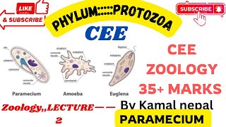 Phylum Protozoa  paramecium by Kamal Nepal sir with best lectures and notes via students [upl. by Ramey]