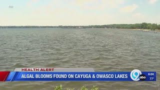 Algal blooms found on Cayuga and Owasco Lakes [upl. by Eisseb138]