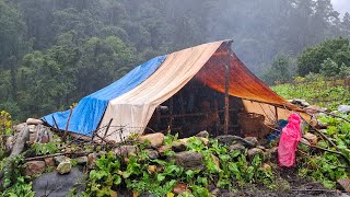 Organic Nepali Mountain Village Life  Rainy Day in Jiri Villgae  Most Peaceful And Relaxing Life [upl. by Ailat]