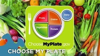 Choose My Plate Dietary Guidelines [upl. by Lemmuela528]