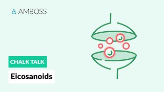 Eicosanoids Formation Function and Subclasses [upl. by Kennett]