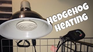 Hedgehog Care Hedgehog Heating amp How to Avoid Hibernation Attempts [upl. by Atimed]