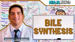 Gastrointestinal  Bile Synthesis [upl. by Gabe]