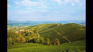 In viaggio con WineNews nella storica tenuta di Fontanafredda tra le più belle realtà del Barolo [upl. by Eillime]