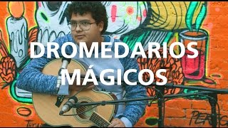 DROMEDARIOS MÁGICOS  Pistache Acústico [upl. by Kedezihclem]