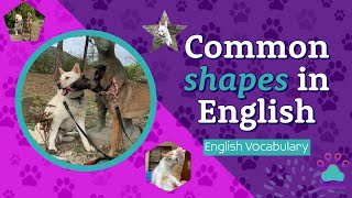 Common Shapes in English  English Vocabulary  English pronunciation [upl. by Eimile237]