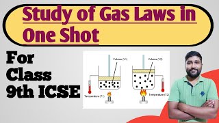 Master Gas Laws in ONE SHOT  Class 9th ICSE Board [upl. by Iral681]