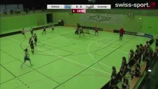 150404 UHC Dietlikon vs Skorpions Emmental Zollbrück Playoff Halbfinals Spiel 3 Highlights [upl. by Aynas]