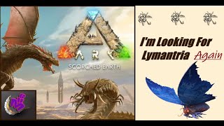 ARK Survival Ascended IM LOOKING FOR LYMANTRIA AGAIN  MAP SCORCHED EARTH  MHG 4K 14 [upl. by Forrer]