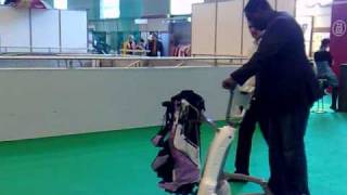 SWIGO  New Electric Golf Trolley and Car  video 1 [upl. by Nauqyaj608]