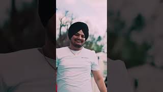 Sidhu Moose Wala new song video viral song shorts trending youtube short youtubeshortsnew [upl. by Nahtanoj438]