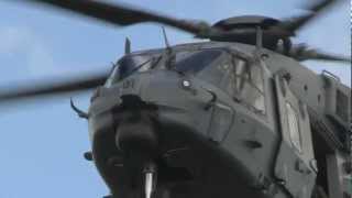 A109 and NH90 helicopters display at Ohakea Airshow [upl. by Isadore]