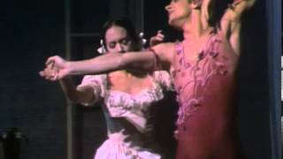 Mikhail Baryshnikov 1976 US tv debut at Wolf trap [upl. by Donoghue67]