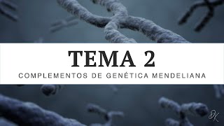 TEMA 2  Psicobiología  UNED  Parte III [upl. by Stover]