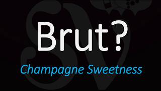 What is a Brut Sparkling Wine Champagne Cava Prosecco  Wine Term Definition [upl. by Eillil63]