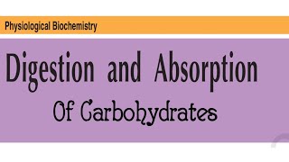 Digestion and Absorption of Carbohydrates [upl. by Sacrod943]