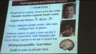 DrAzza  Protozoa 5  Trypanosoma  Part 4 [upl. by Dodd]