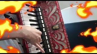 Alestorm  Keelhauled Accordion cover [upl. by Anitnerolf889]