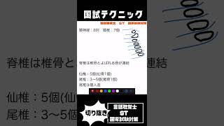 脊髄神経と脊椎の数 頸神経 胸神経 腰神経 尾骨神経 頚椎 胸椎 腰椎 仙椎 尾椎 [upl. by Whittaker]