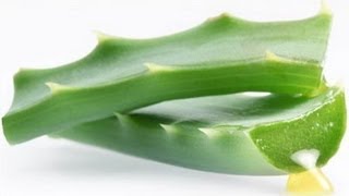 GASTRITIS SOLUCION ALOE VERA SAVILA [upl. by Devlen]