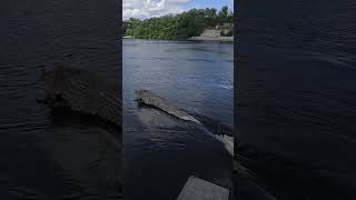 Ford Dam and Hydroplant Mississippi River [upl. by Parish]